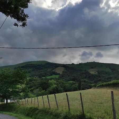 Maison Individuelle Au Coeur De La Soule Au Pays Basque Musculdy エクステリア 写真